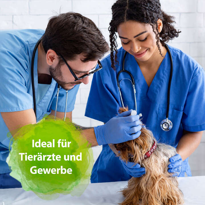 BACTADOR Geruchs- und Fleckenentferner Konzentrat